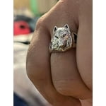 Image 3 of customer photos