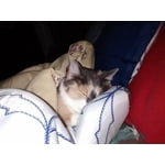 Image 3 of customer photos