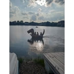 Image 2 of customer photos