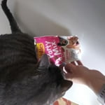 Image 5 of customer photos