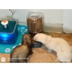 Image 1 of customer photos