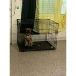 Image 4 of customer photos