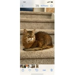 Image 5 of customer photos