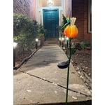 Image 4 of customer photos