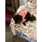 Image 3 of customer photos