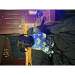 Image 3 of customer photos