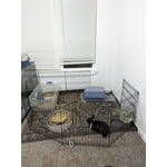 Image 5 of customer photos