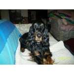 Image 2 of customer photos