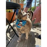 Image 2 of customer photos