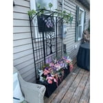Image 3 of customer photos