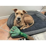 Image 4 of customer photos