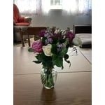 Image 10 of customer photos