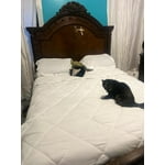 Image 3 of customer photos