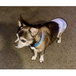 Image 3 of customer photos