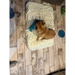 Image 5 of customer photos