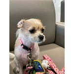 Image 5 of customer photos