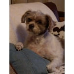 Image 3 of customer photos