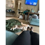 Image 5 of customer photos