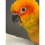 Image 3 of customer photos