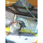 Image 6 of customer photos