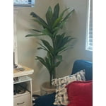 Image 2 of customer photos