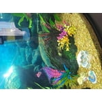 Image 3 of customer photos