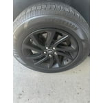 Image 6 of customer photos
