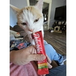 Image 7 of customer photos