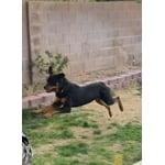 Image 3 of customer photos