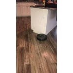 Image 6 of customer photos