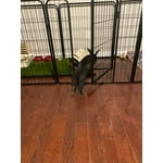 Image 2 of customer photos