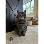 Image 3 of customer photos