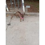 Image 4 of customer photos