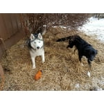 Image 2 of customer photos