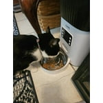 Image 7 of customer photos