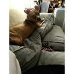 Image 7 of customer photos