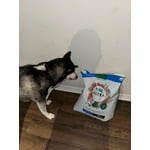 Image 7 of customer photos