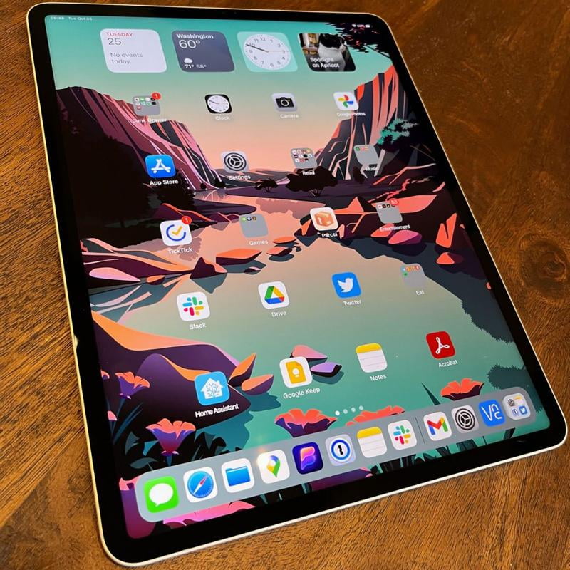 iPad Pro 11 M1 第3世代　256GB Wi-Fi cellular Apple iPad Pro 11インチ 第3世代 Wi-Fi 256GB 2021年春モデル 価格