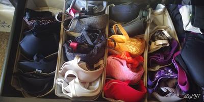 Mainstays? Bra Organizer