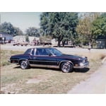 Image 6 of customer photos