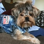 Image 5 of customer photos