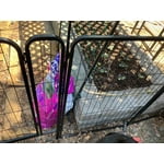 Image 4 of customer photos