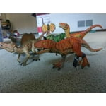 Image 3 of customer photos