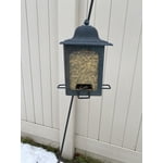 Image 1 of customer photos