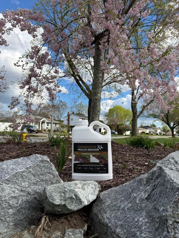 Customer reviews for DOMINATOR XL Mulch Anchor 2.5 Gallon: Mulch