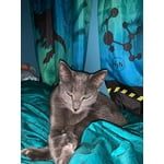 Image 6 of customer photos