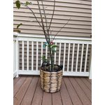 Image 5 of customer photos