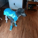 Image 4 of customer photos