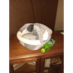 Image 5 of customer photos