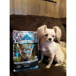 Image 5 of customer photos